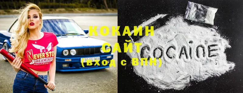 где купить   Заполярный  COCAIN FishScale 